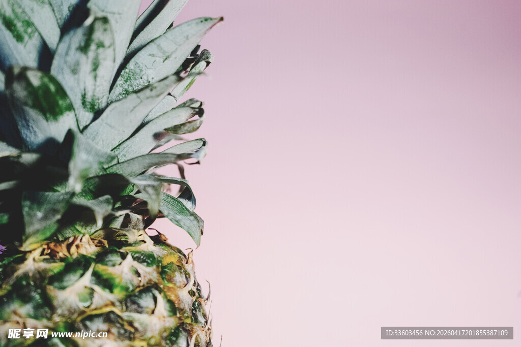 新鲜菠萝特写