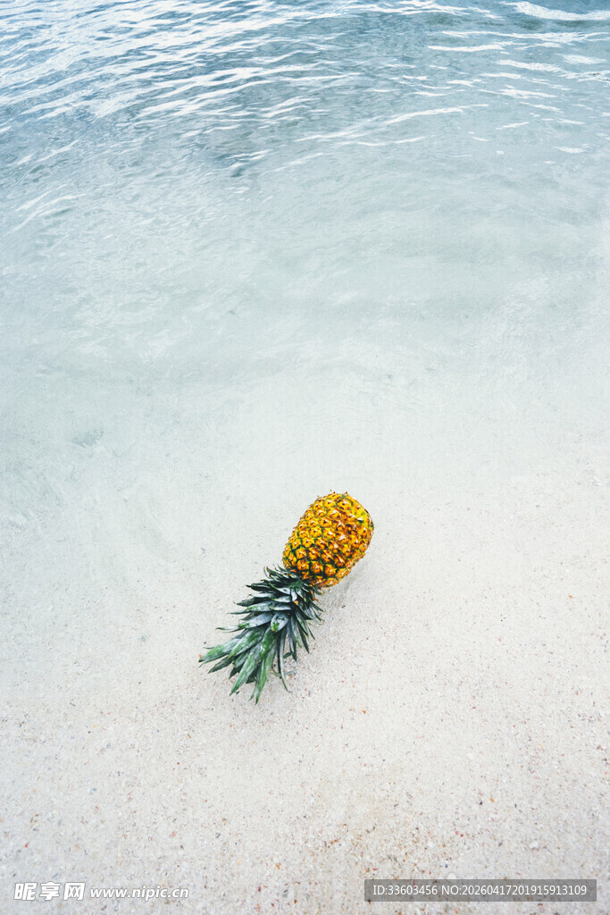 漂浮在海面的新鲜菠萝