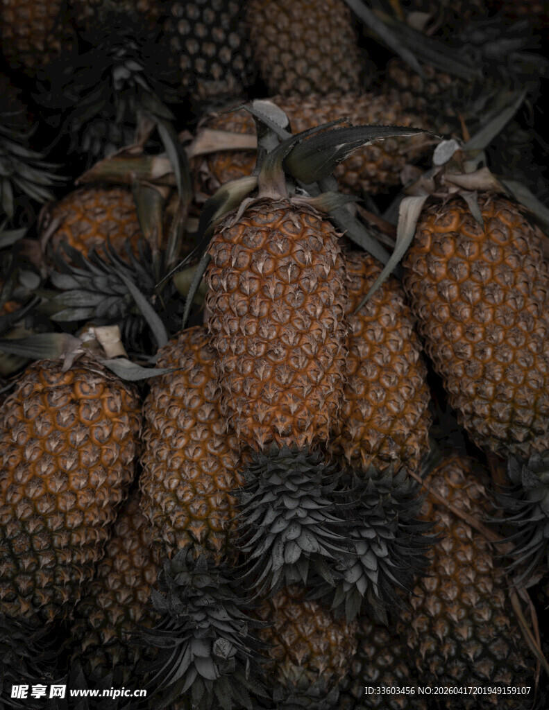 一堆新鲜菠萝
