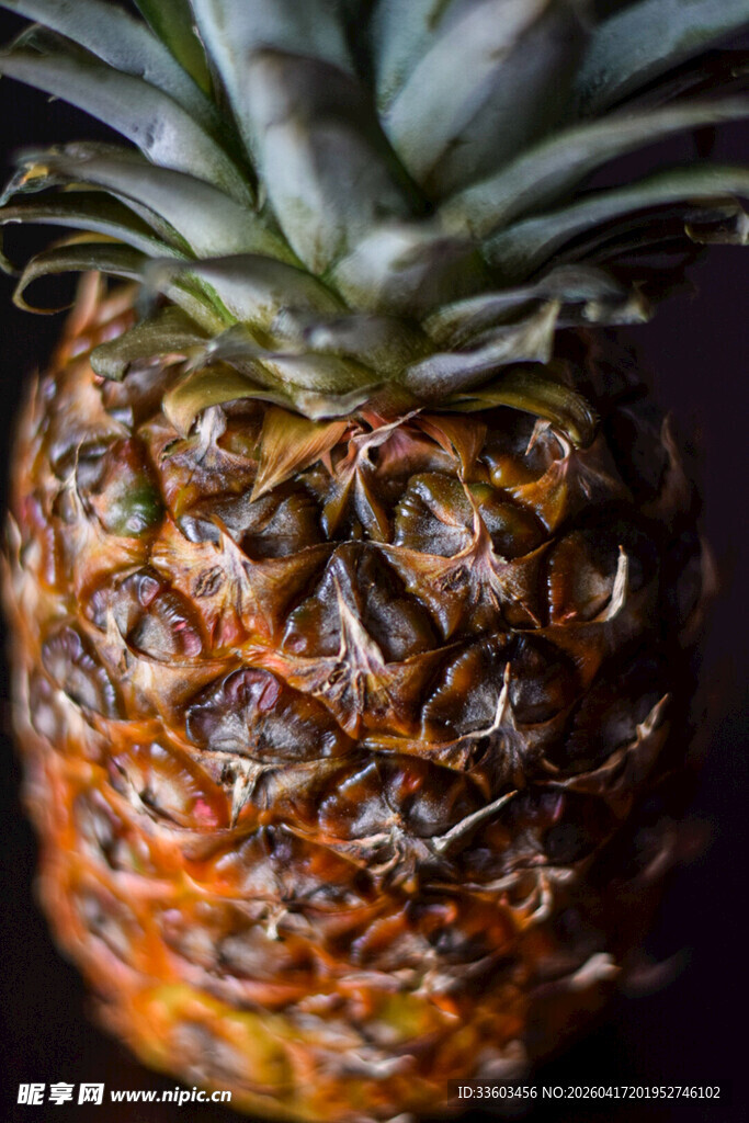 新鲜带叶的多汁菠萝