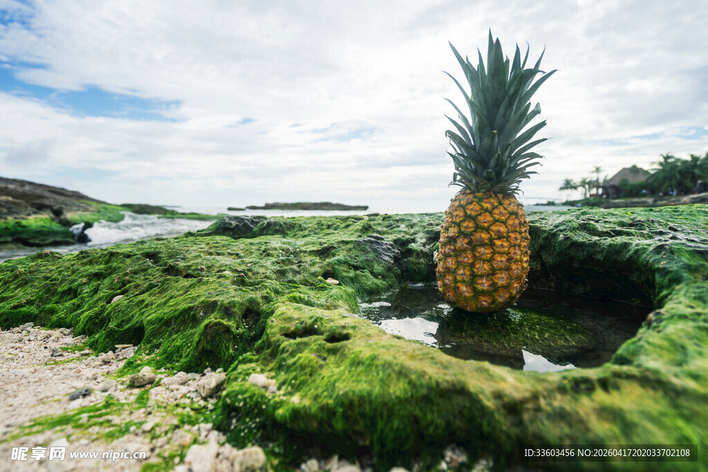田野中的巨型菠萝景观