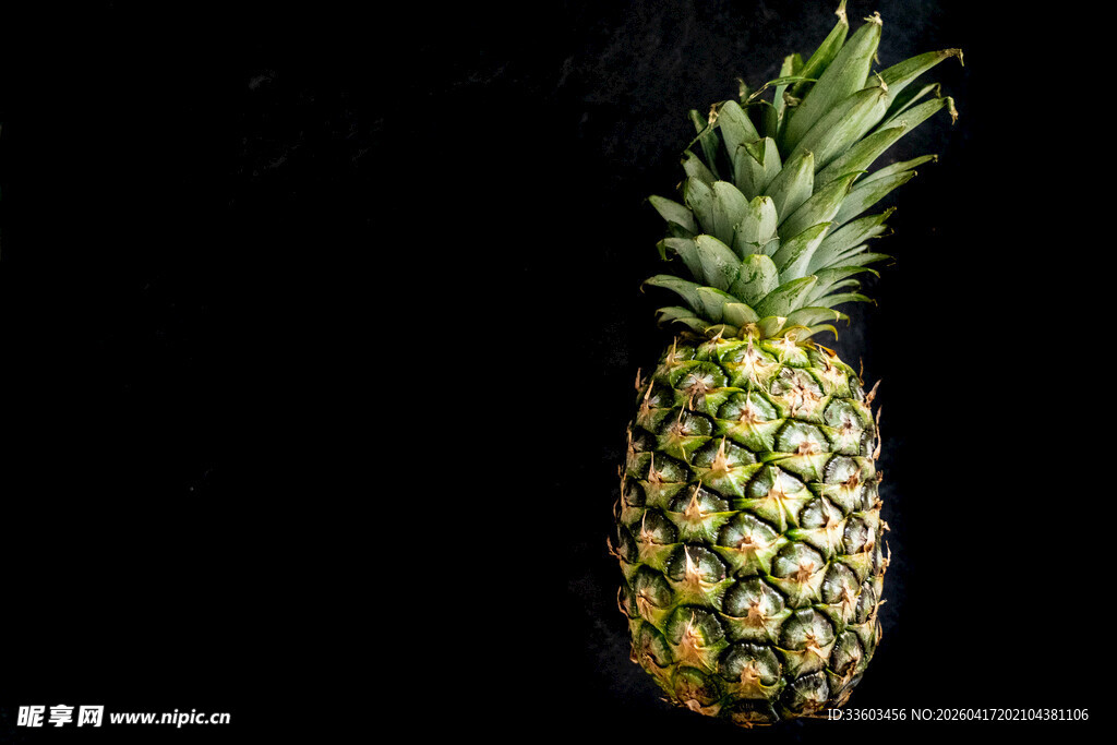 单个新鲜菠萝特写