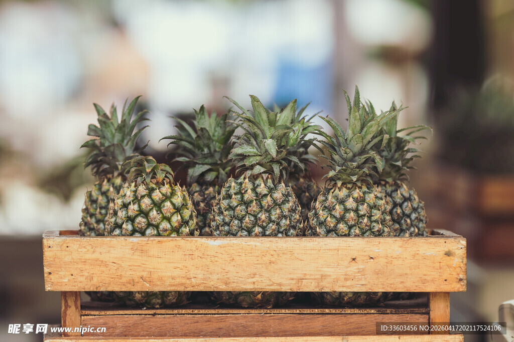 木架上摆放的新鲜菠萝