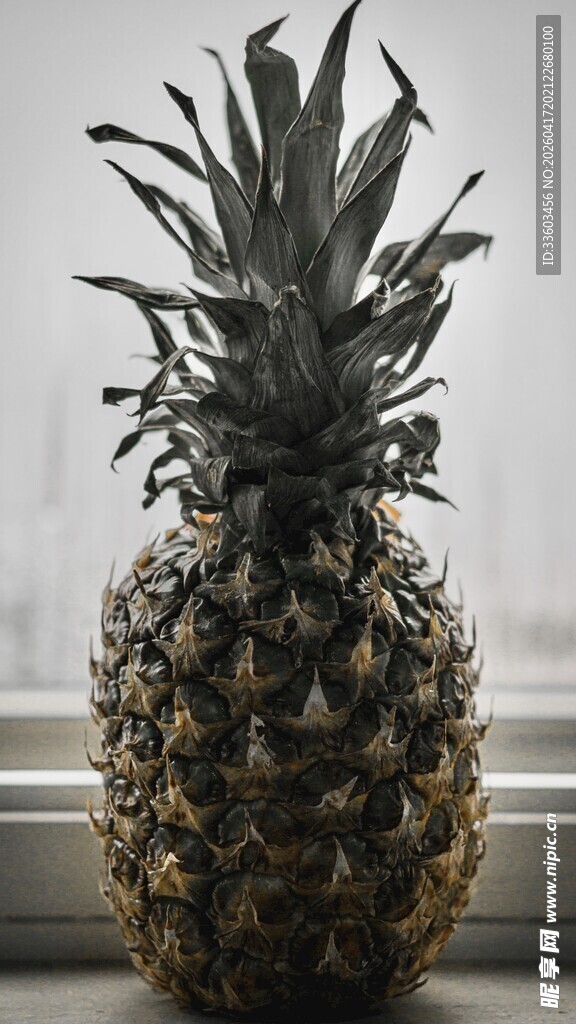 新鲜菠萝特写