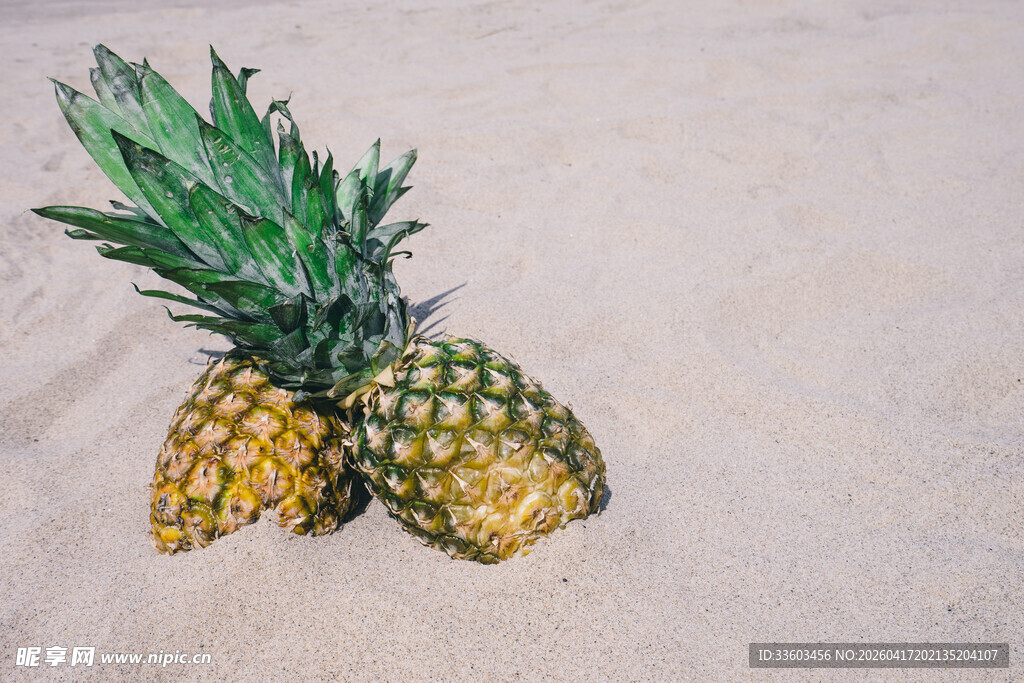 沙滩上的新鲜菠萝