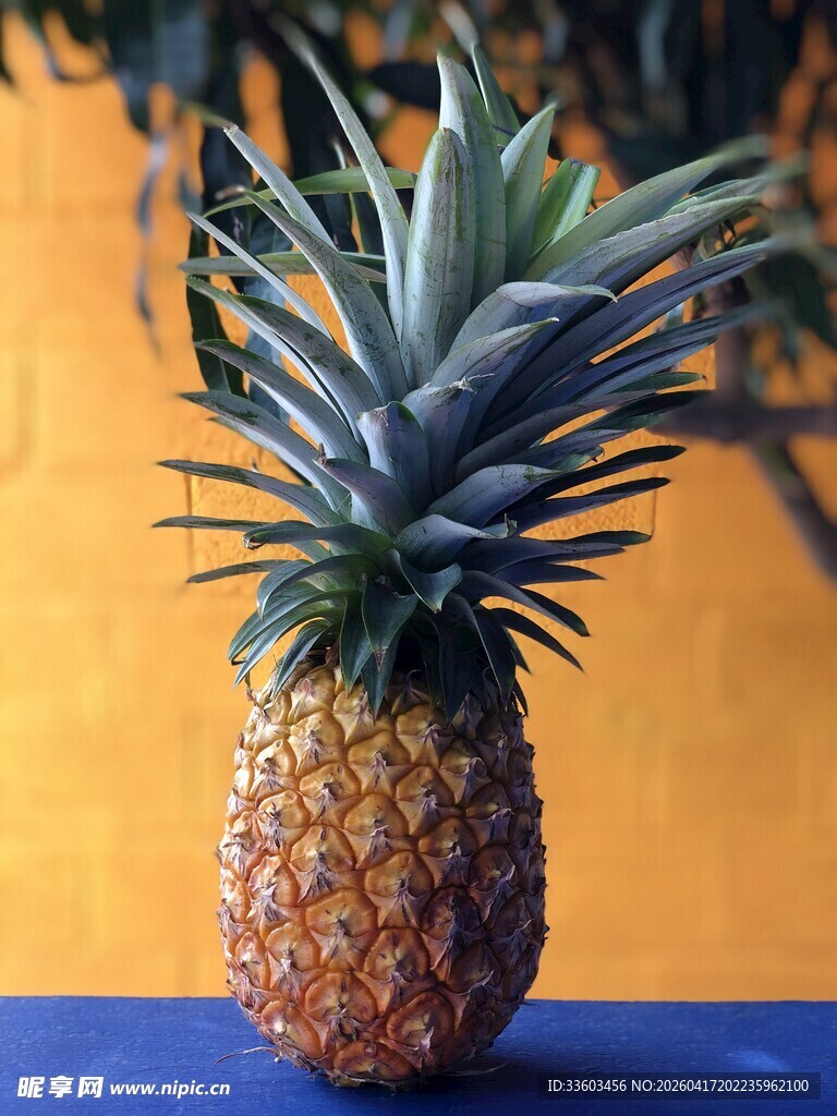 单个新鲜菠萝特写