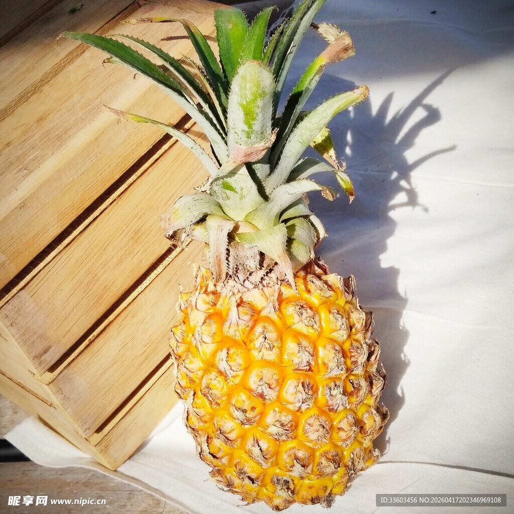 阳光下的新鲜菠萝