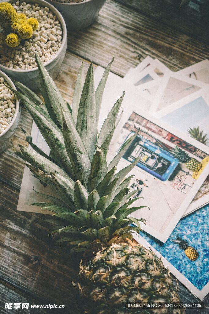 菠萝与旅行杂志的惬意组合