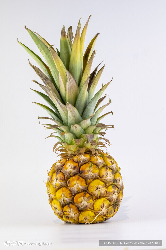 新鲜金黄菠萝特写