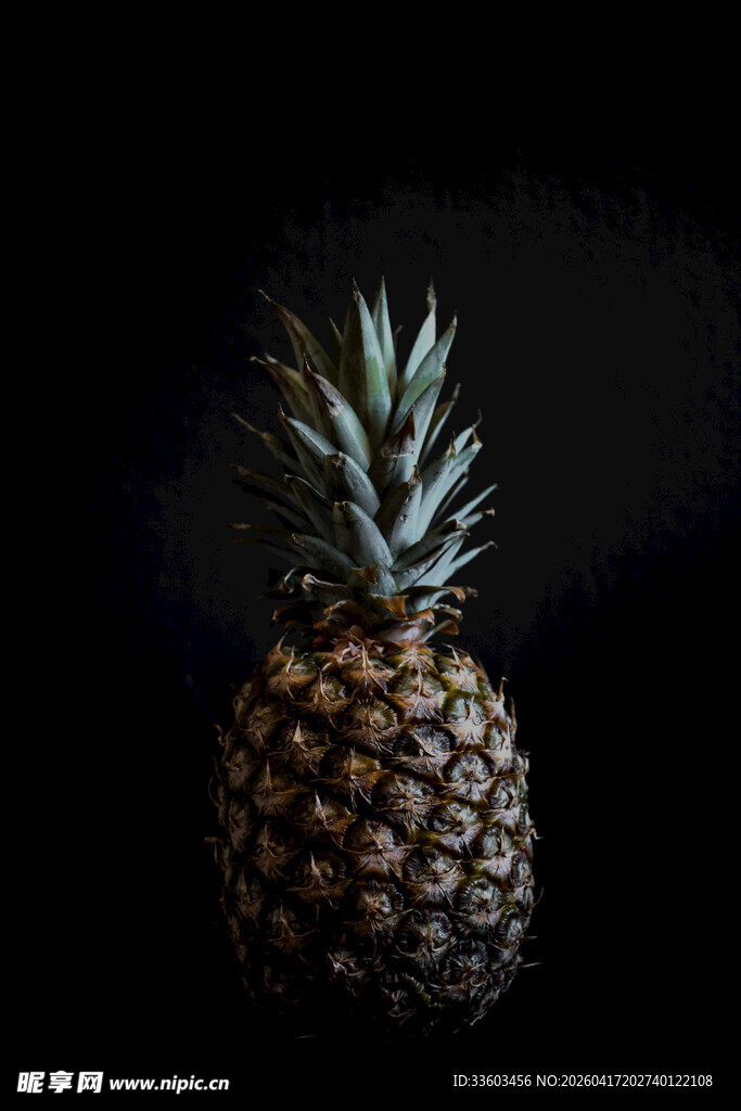 单个菠萝特写