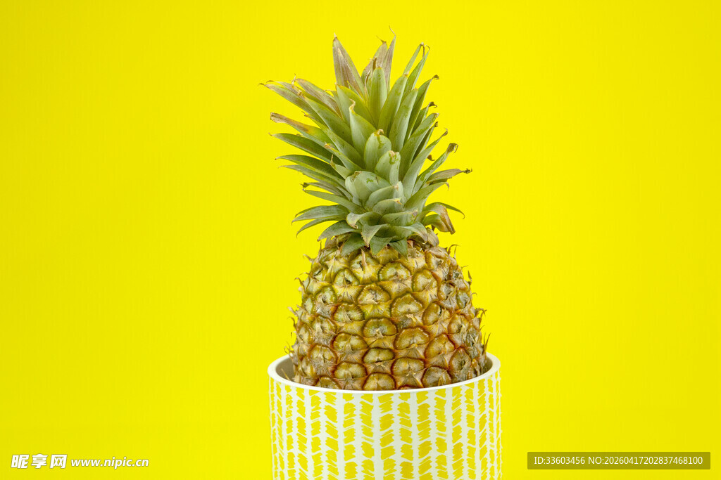 黄色背景上的条纹容器菠萝