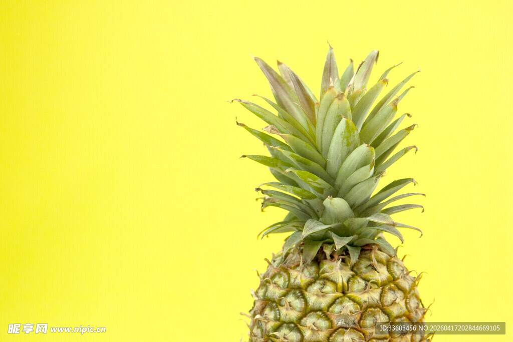 黄色背景上的新鲜菠萝