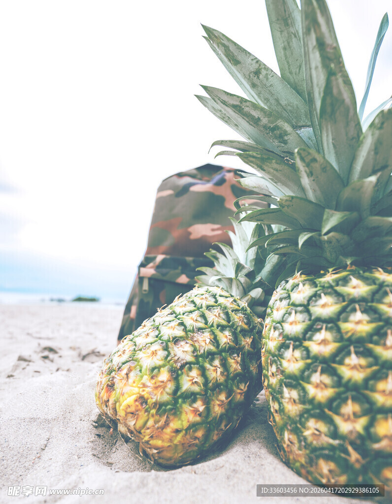 沙滩上的菠萝与背包