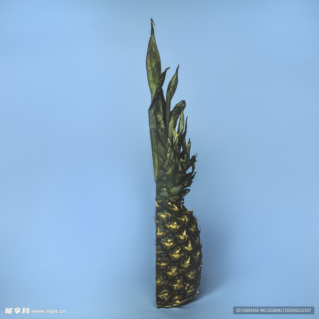 蓝色背景下的新鲜菠萝