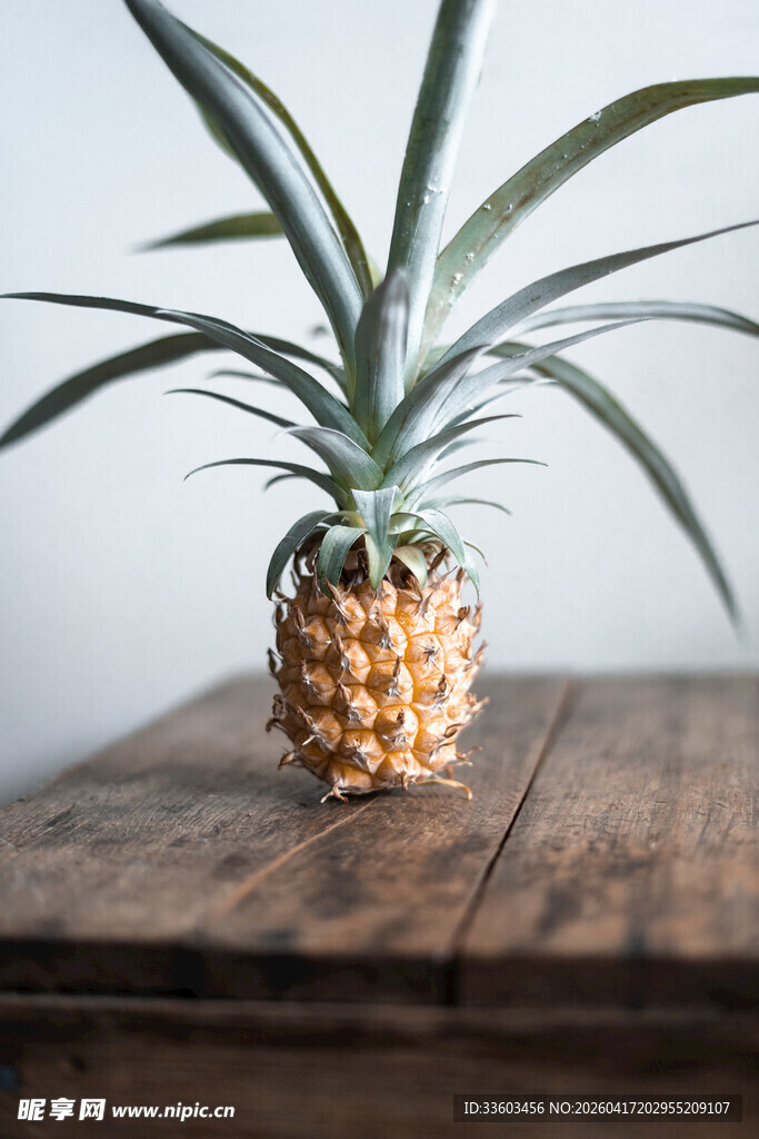 木桌上的新鲜菠萝植株