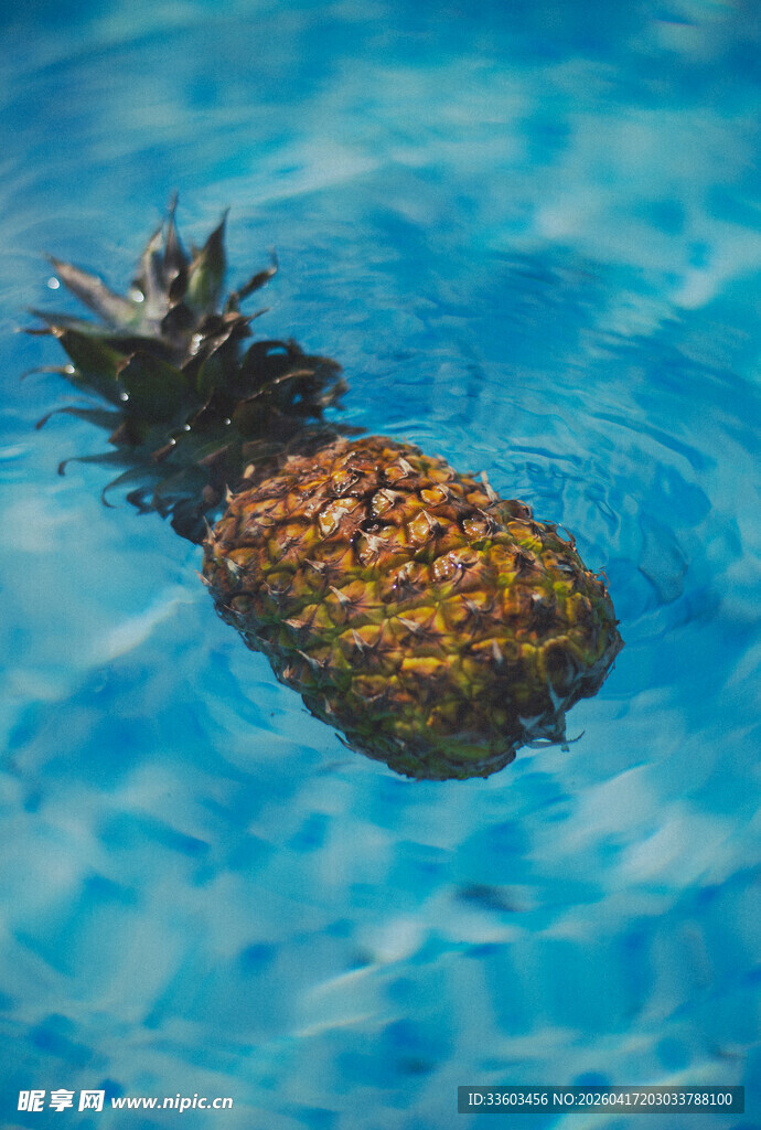漂浮在水中的新鲜菠萝