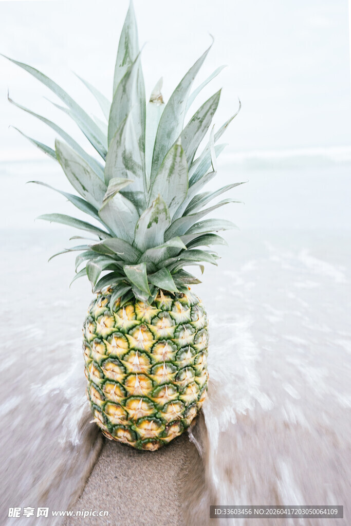 沙滩上的新鲜菠萝