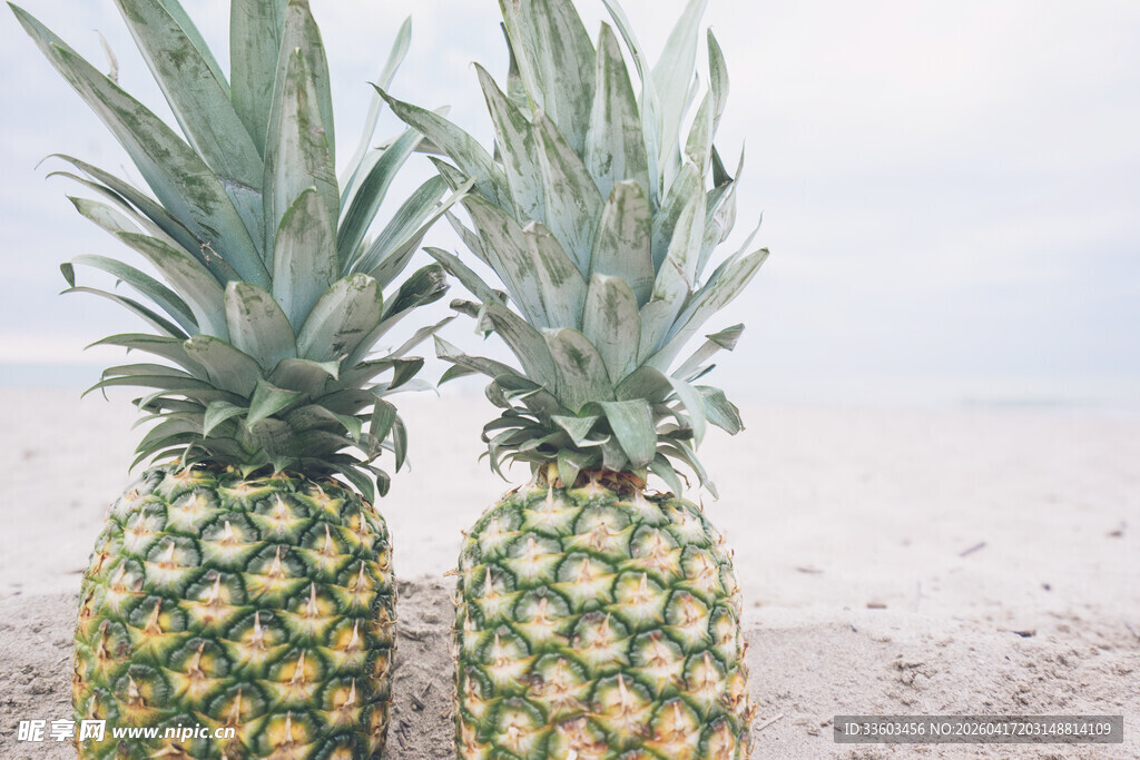 沙滩上的两颗新鲜菠萝