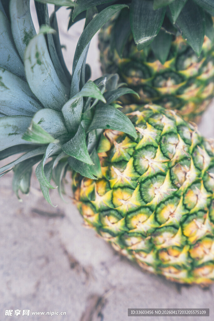 新鲜菠萝特写