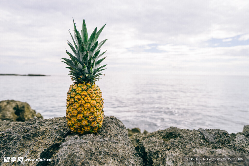 海边岩石上的金黄菠萝