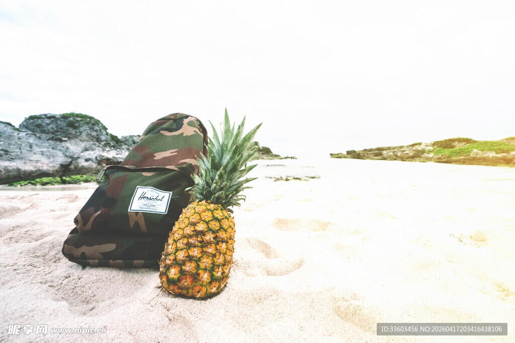 沙滩上的菠萝与背包