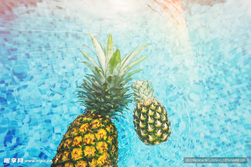 泳池中的两颗新鲜菠萝