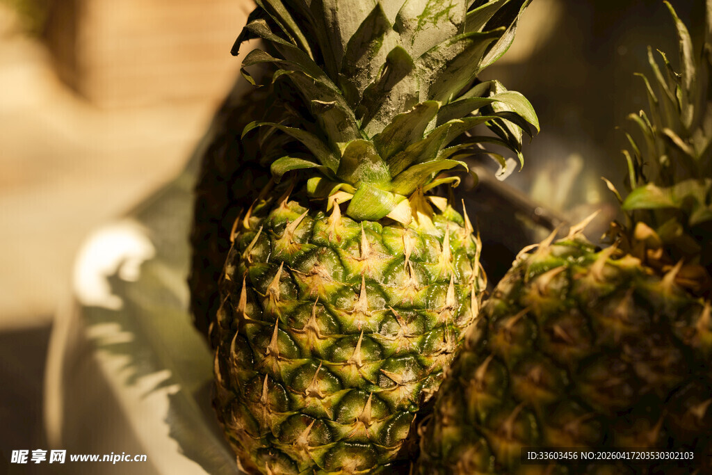 新鲜诱人的两个成熟菠萝