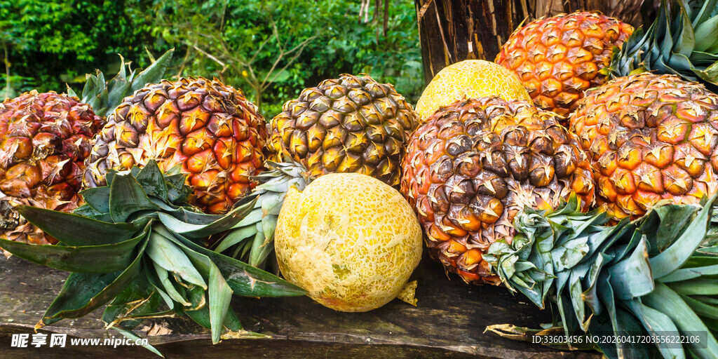 多彩新鲜菠萝堆叠展示
