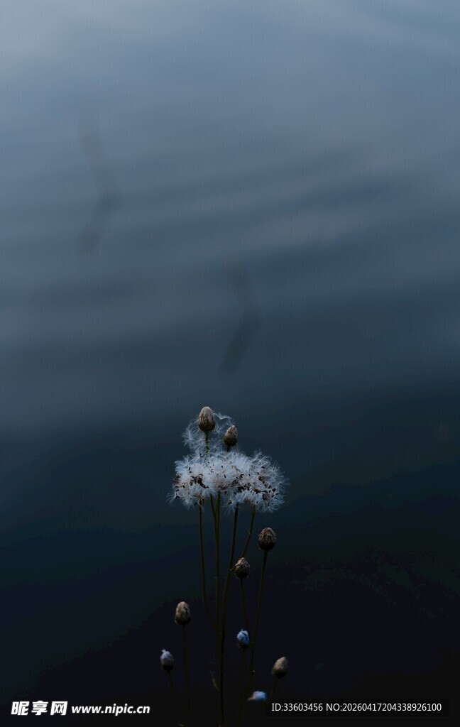 海上船只破浪前行