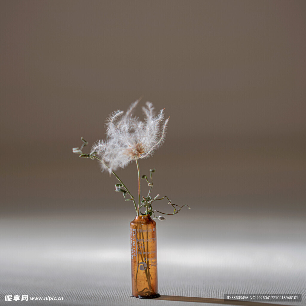 简约花瓶中的单支梦幻花朵