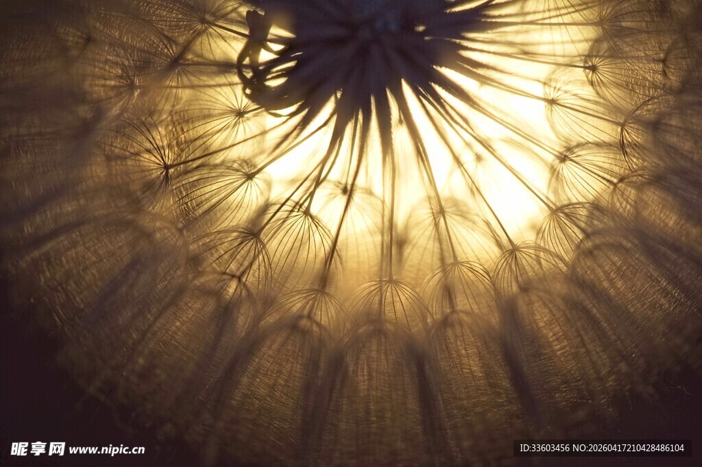 梦幻光影下的伞状艺术装置