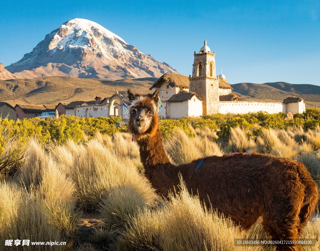 安第斯山畔的羊驼与建筑