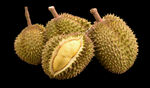 榴莲