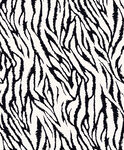 黑白斑马纹图案纹理