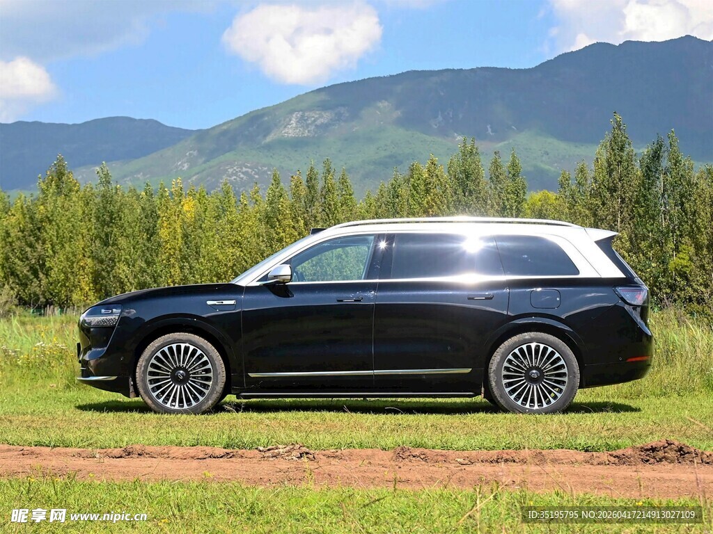 野外草地上的黑色SUV