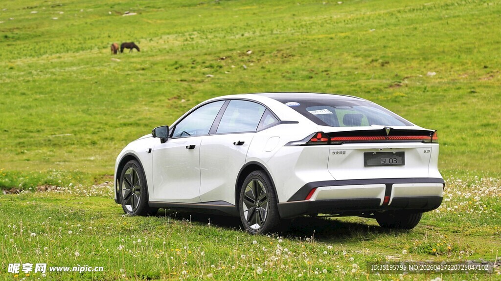 草地中停放的白色时尚轿车