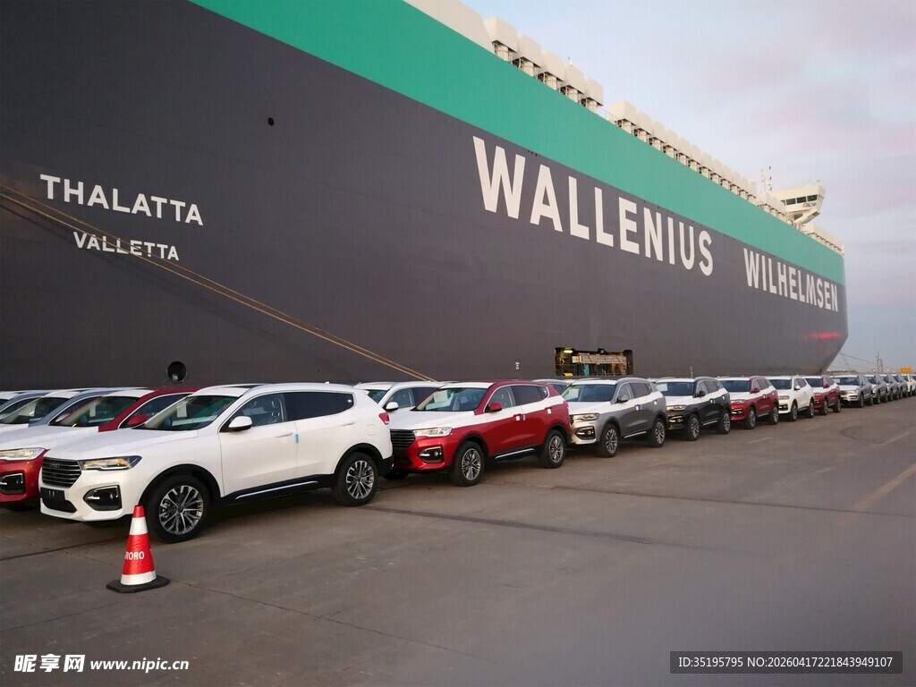 港口停满待运汽车