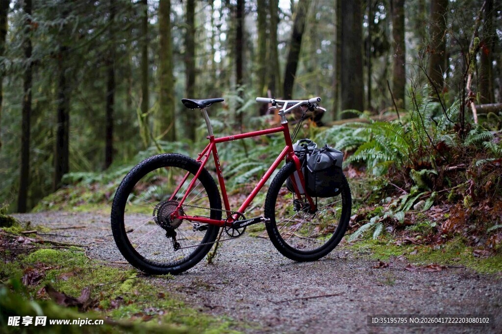 林间骑行的山地自行车