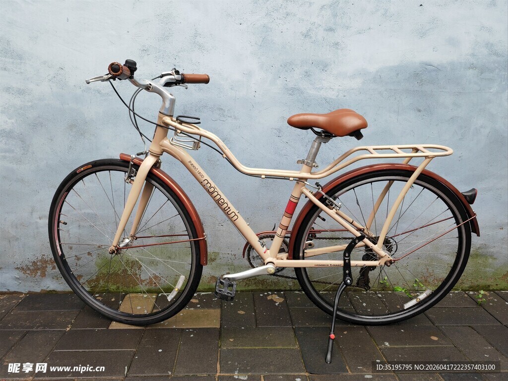 复古风格女士自行车