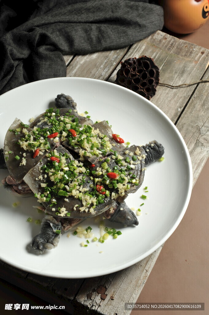 甲鱼美食诱人呈现