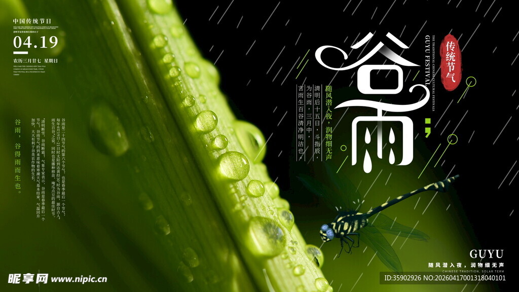 谷雨时节嫩绿叶片带水珠