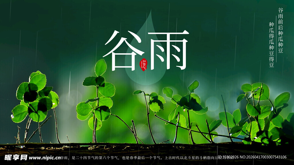 谷雨时节绿意盎然植物图
