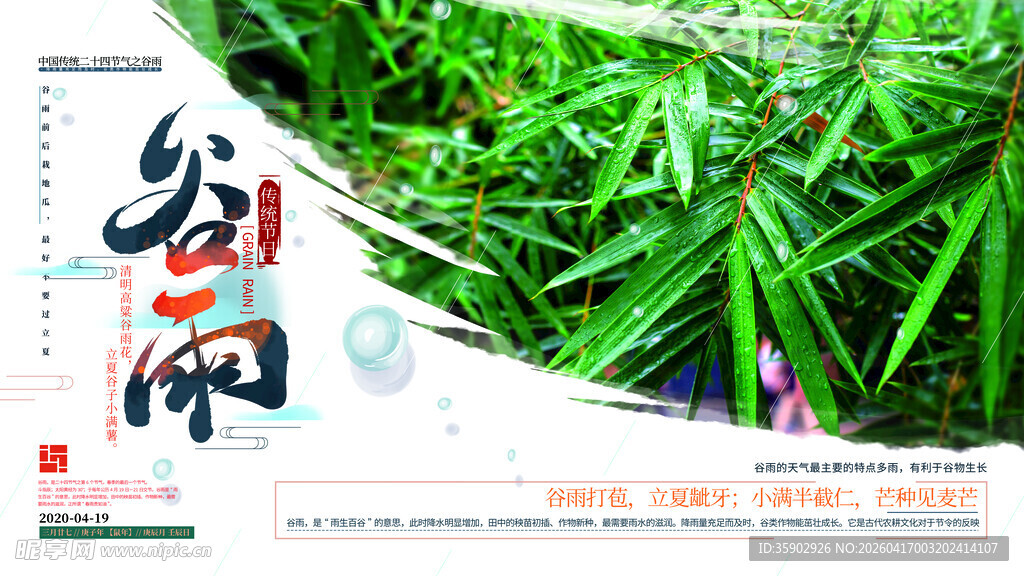 谷雨时节绿意盎然景象