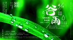 谷雨时节嫩绿叶片带水珠