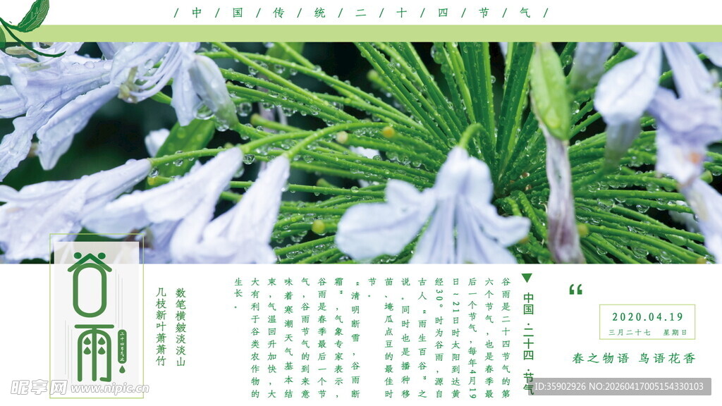 优雅玉簪花绽放绿意间