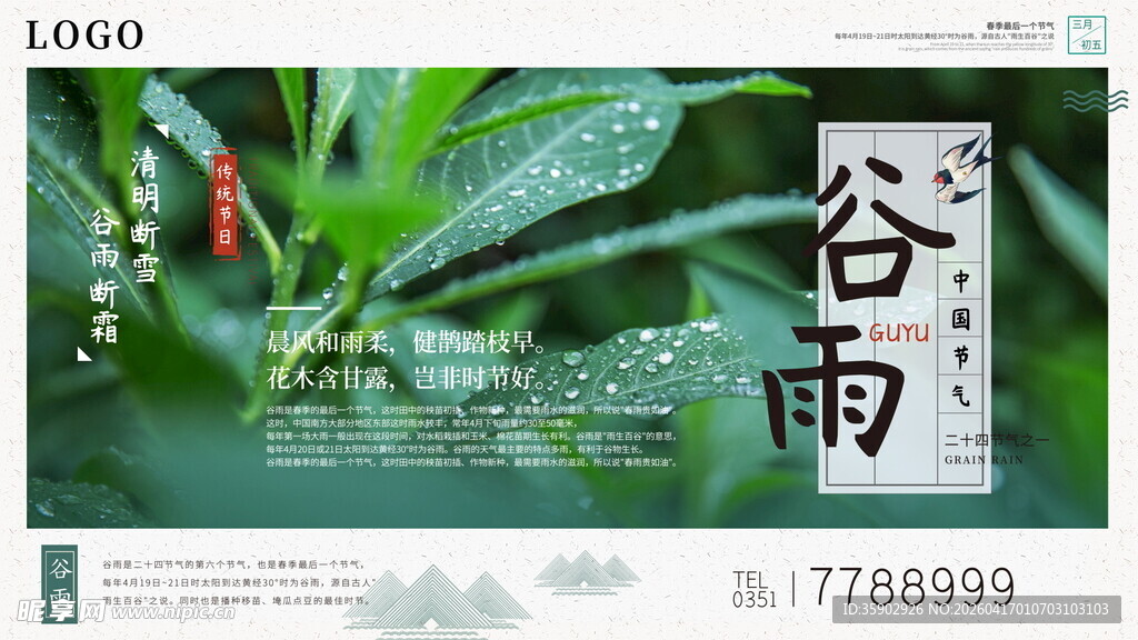 谷雨时节清新绿植海报