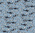 群鱼鲨鱼的壮观景象