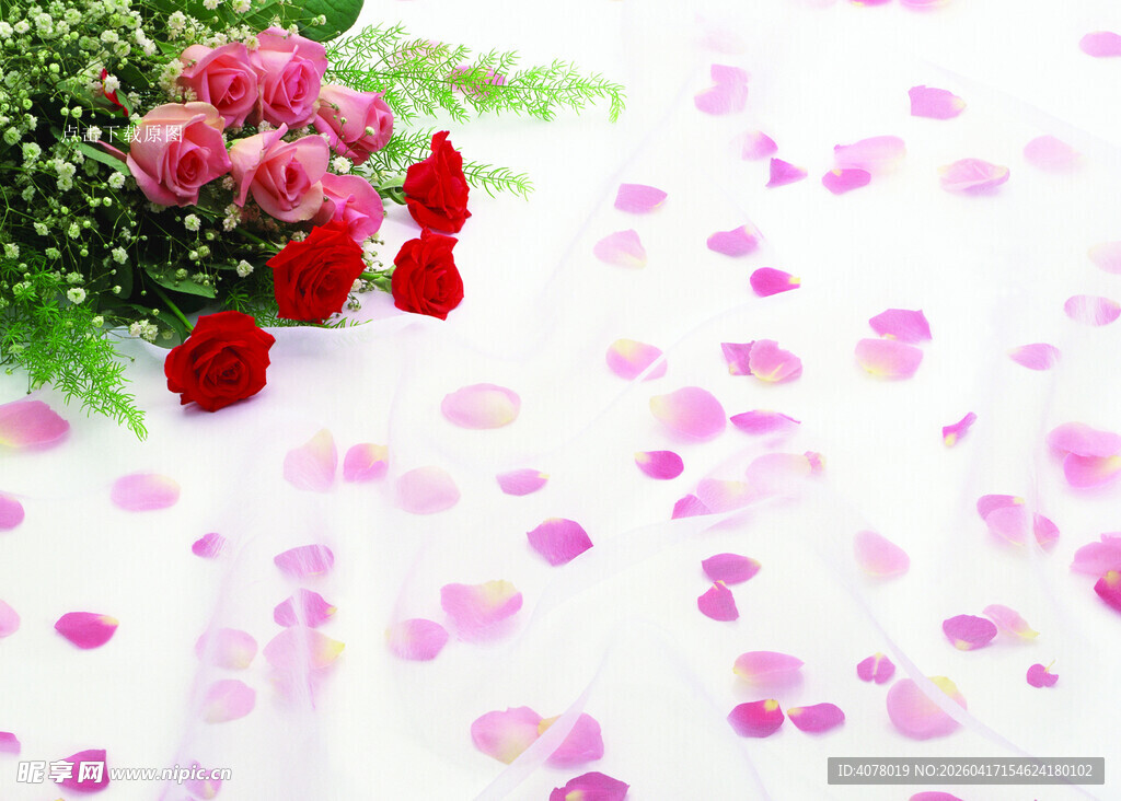 浪漫玫瑰花瓣场景布置