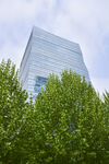 绿树掩映下的现代高楼