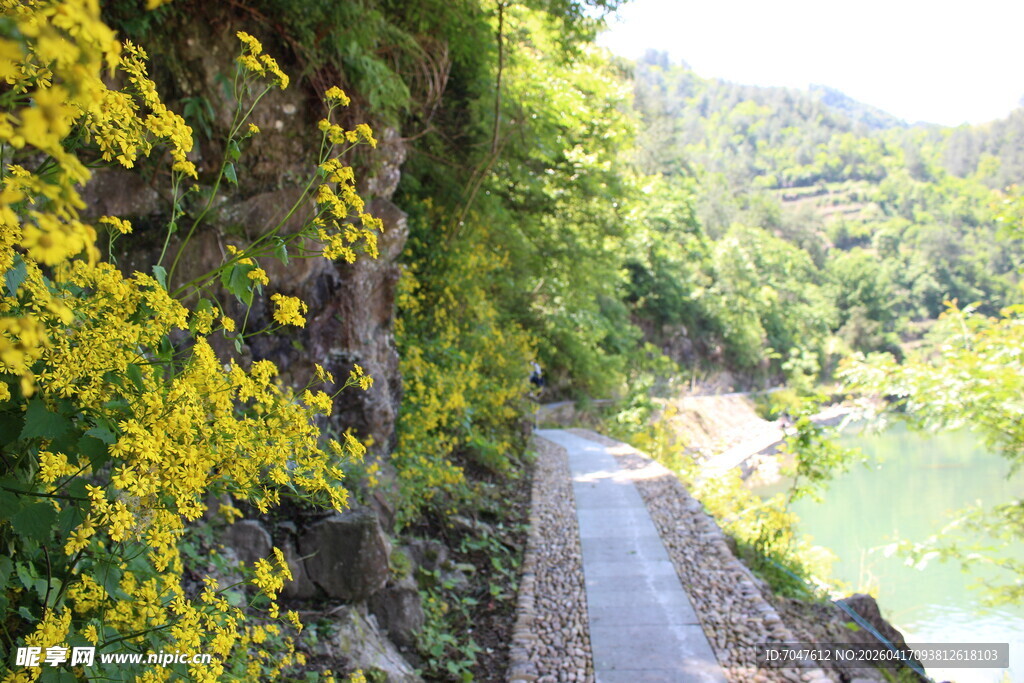 山间繁花伴小径